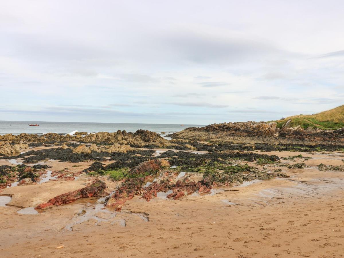 Coldingham Meadow Lodge מראה חיצוני תמונה